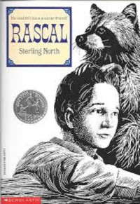 Image of Rascal